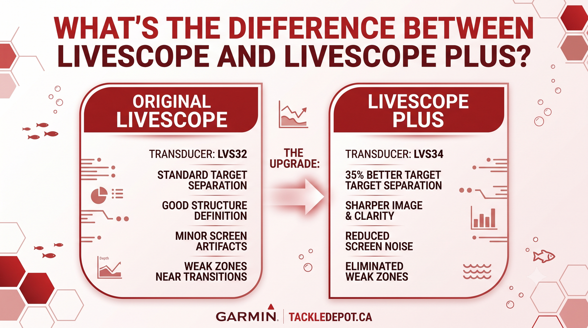 What's the difference between LiveScope and LiveScope Plus?