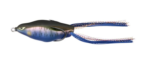 13 Pêche Marche-Poussière Panda