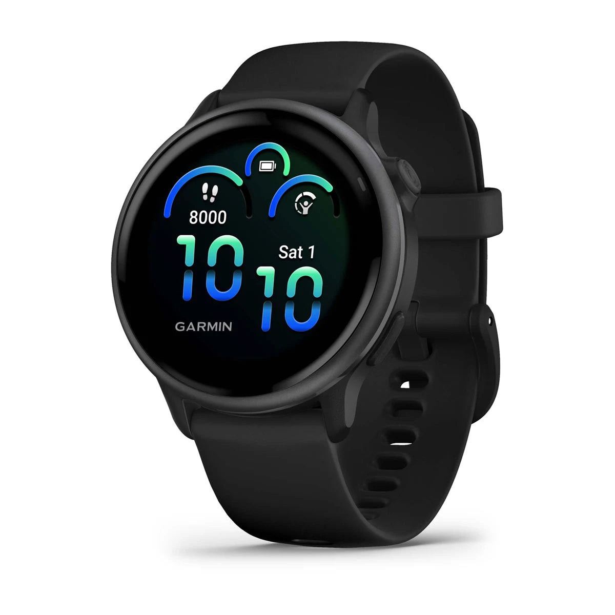 Garmin vivoactive 6 Slate with Black Band Smartwatch