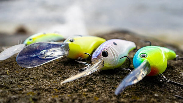 Diving into Deep Crankbaits