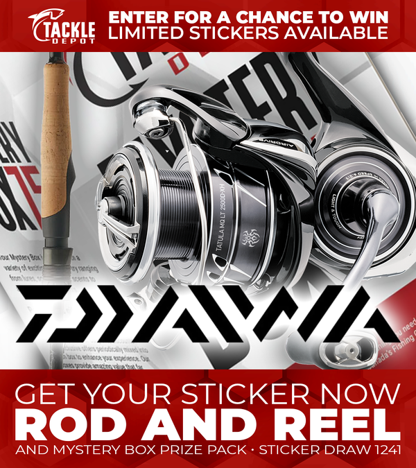 STICKER DRAW 1241