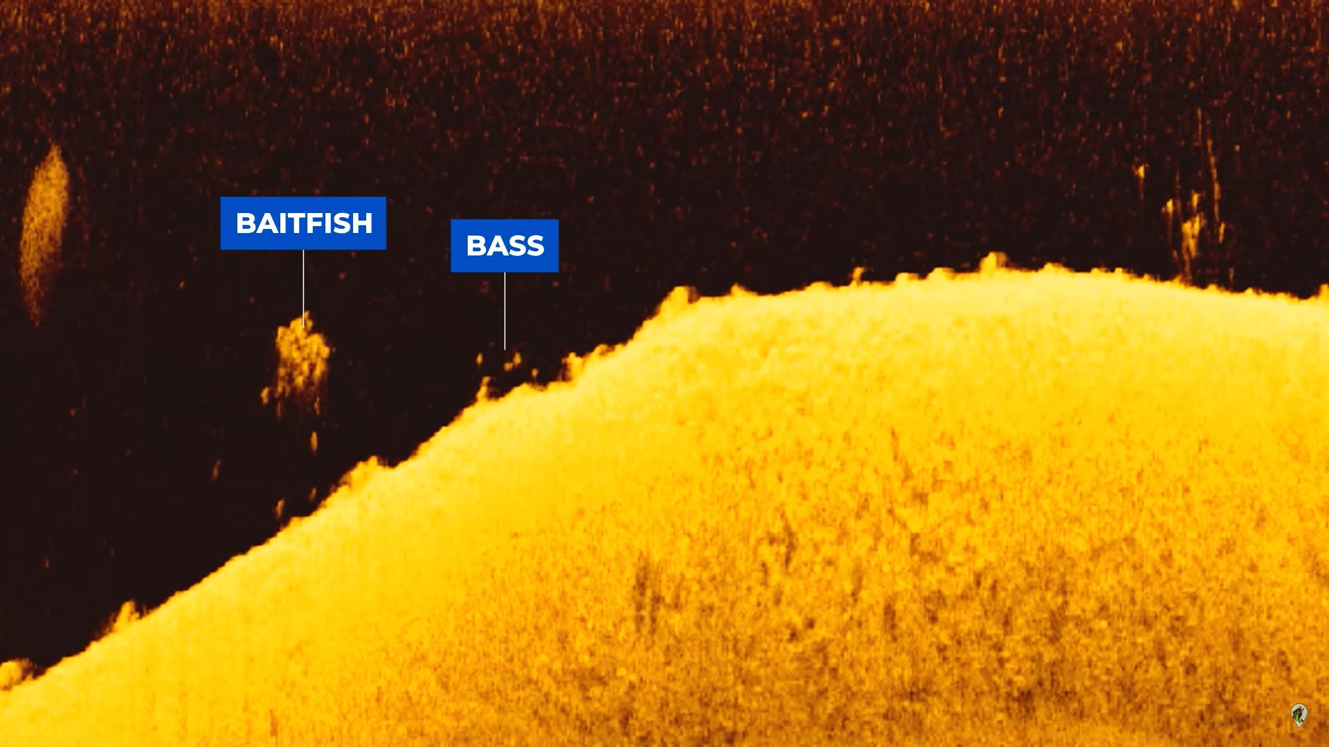 Success with Fish Finders