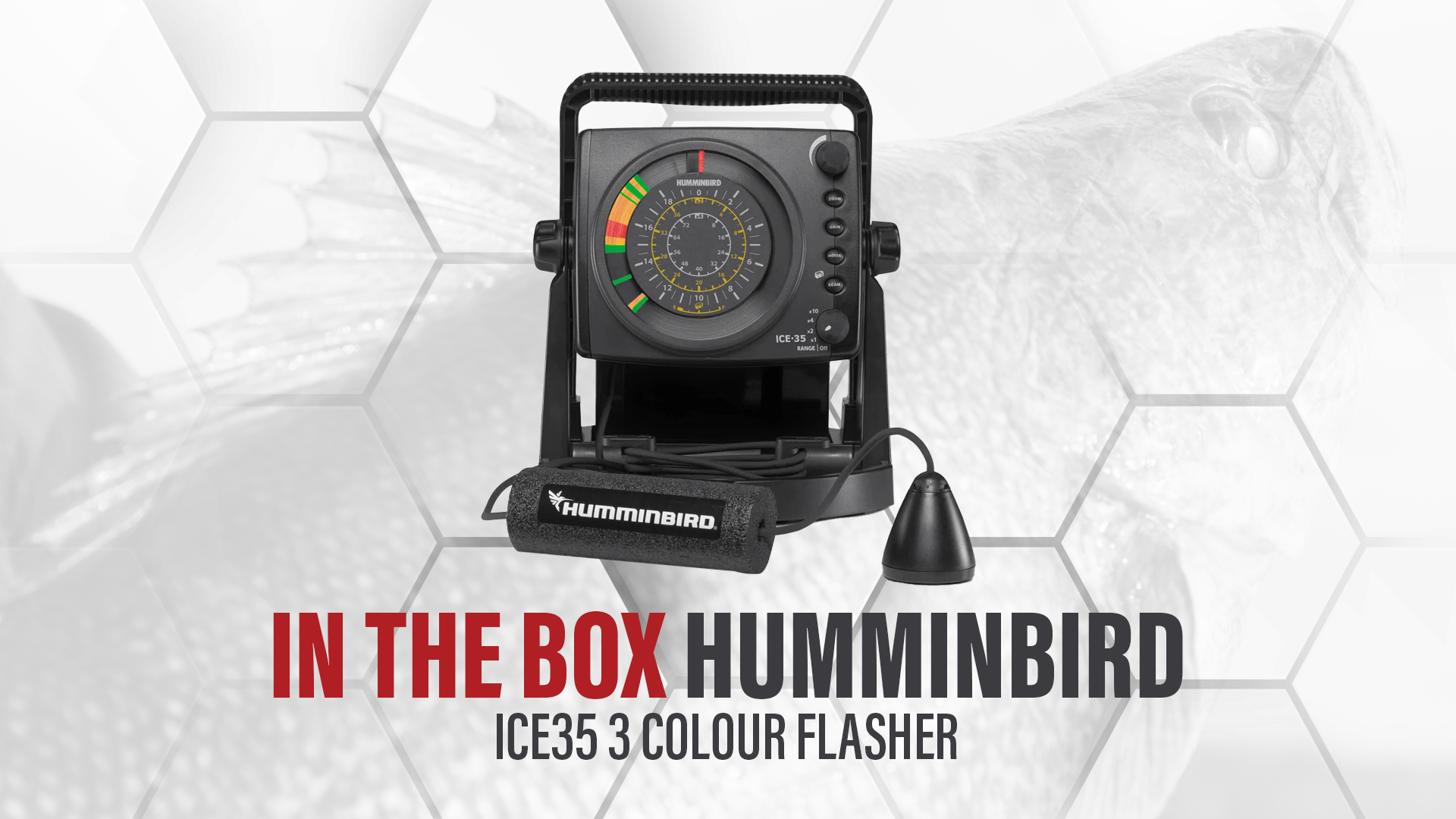 INTHE BOX Humminbird ICE35 3 Colour Flasher