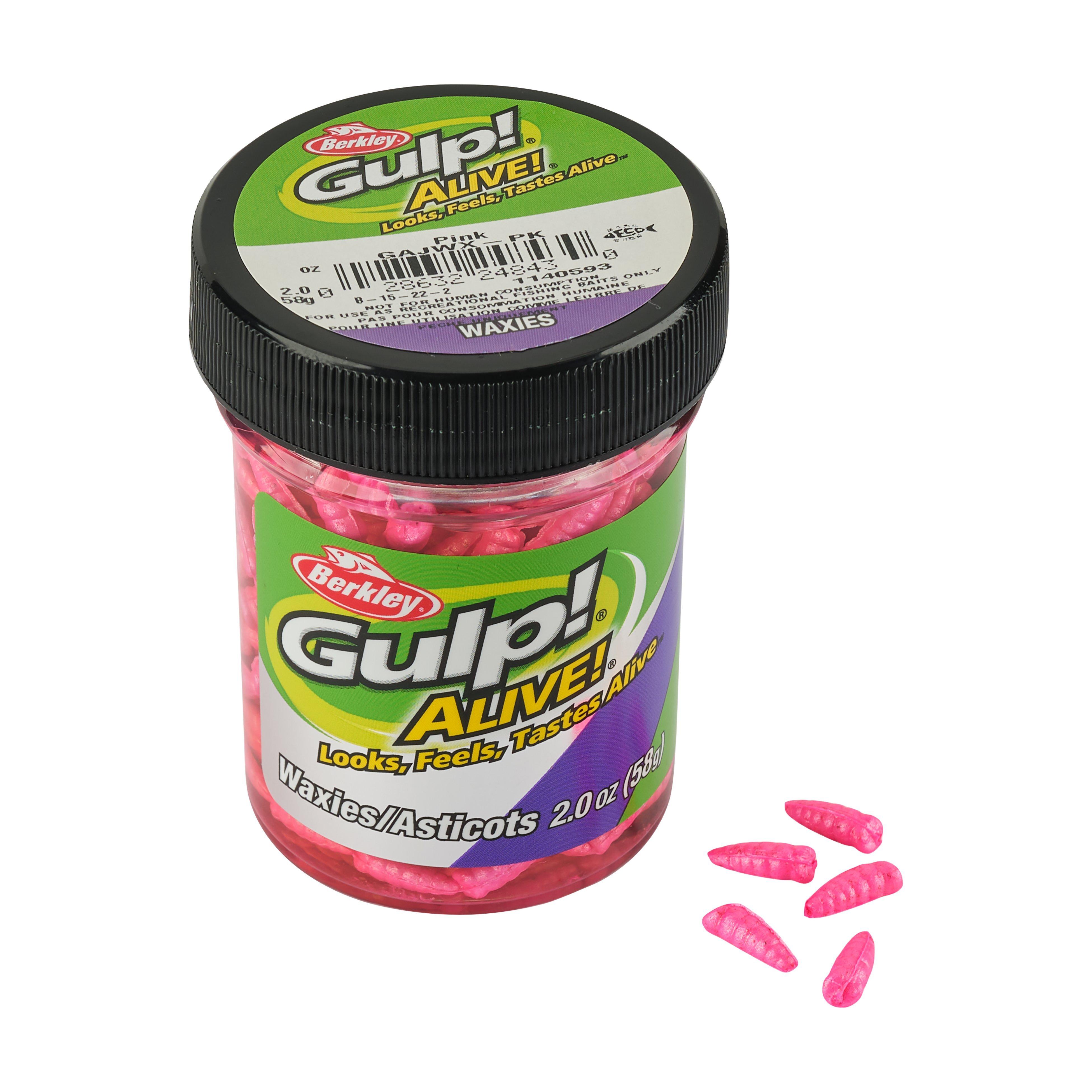 Berkley Gulp! Alive! Waxies - Tackle Depot