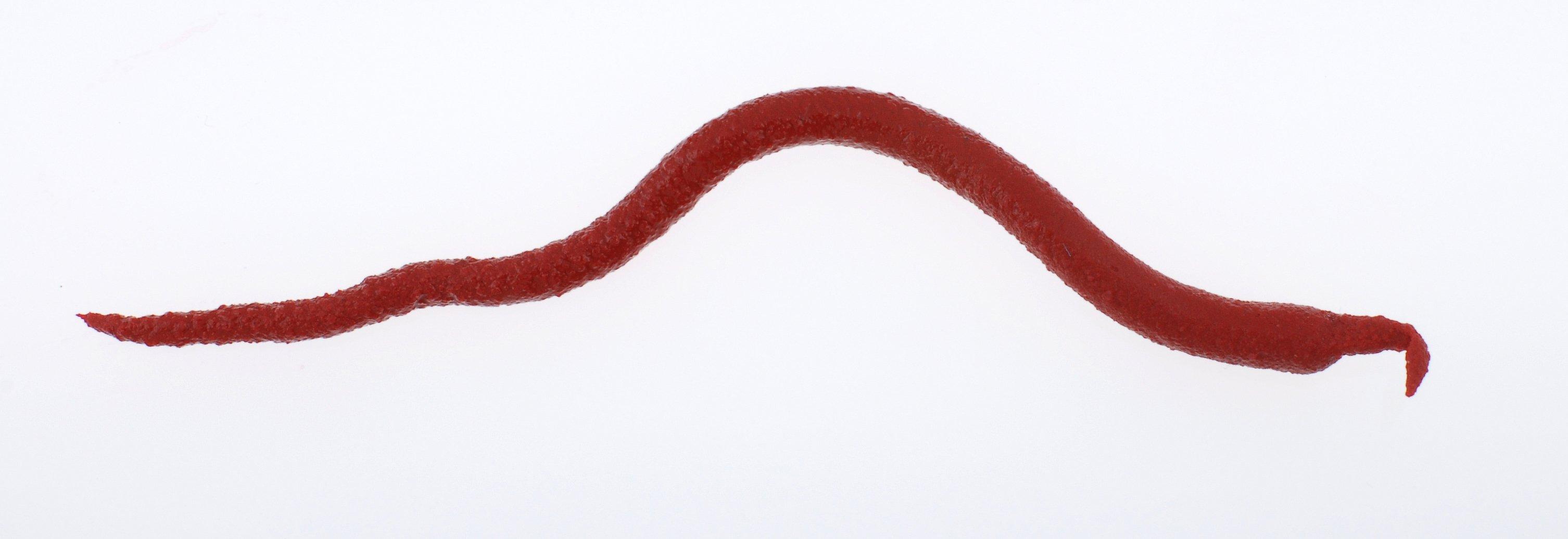 Berkley Gulp Saltwater Extruded Bloodworm