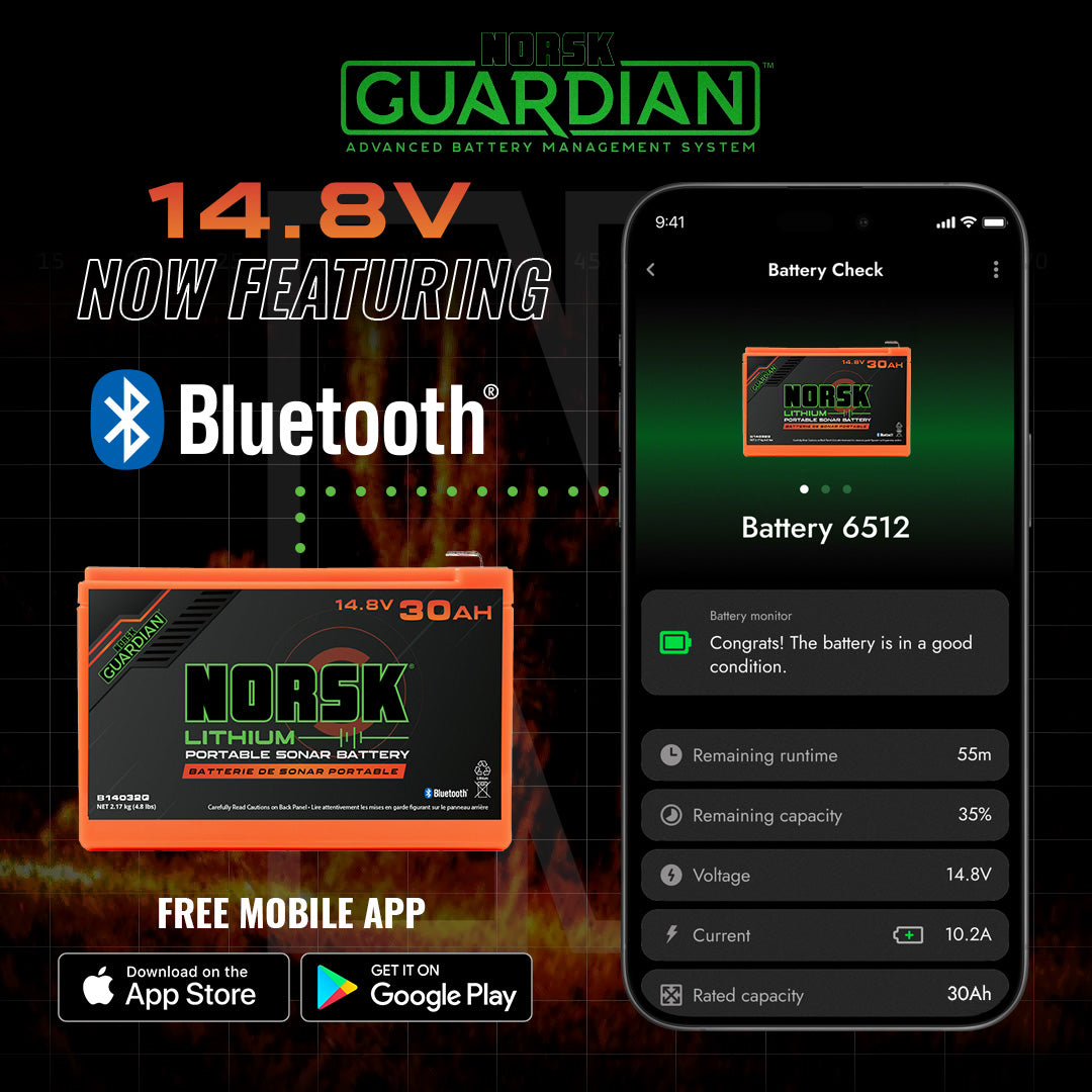 Norsk 4.8V 30Ah Lithium-Ion Battery with Charger