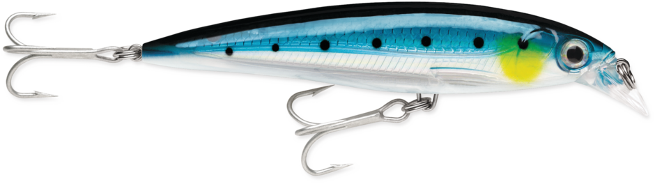 Rapala X-Rap Saltwater 