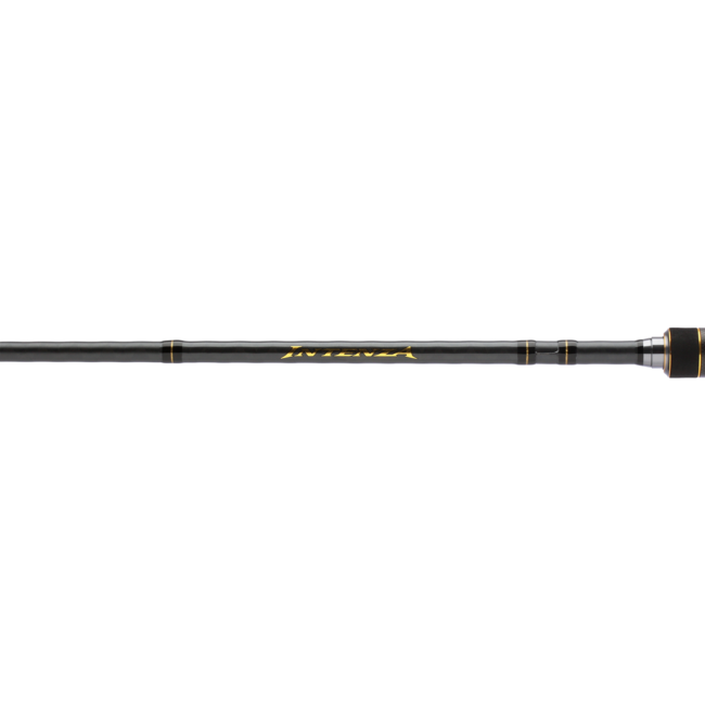 Canne à lancer Shimano Intenza