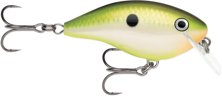 Garage Rocco 5 de Rapala OTT