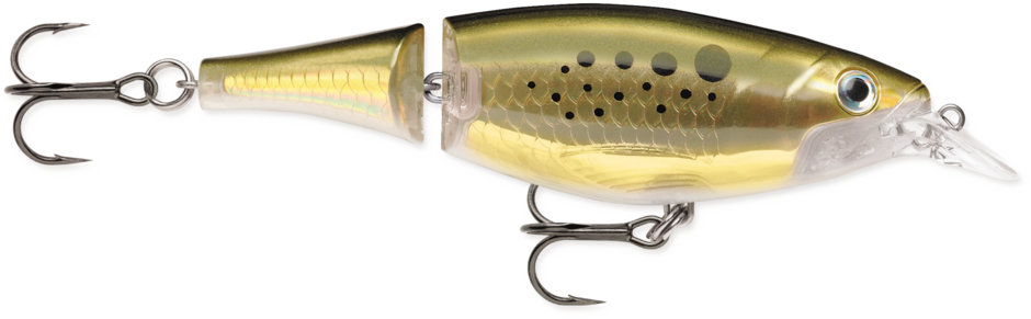 Rapala X-Rap. Alose articulée