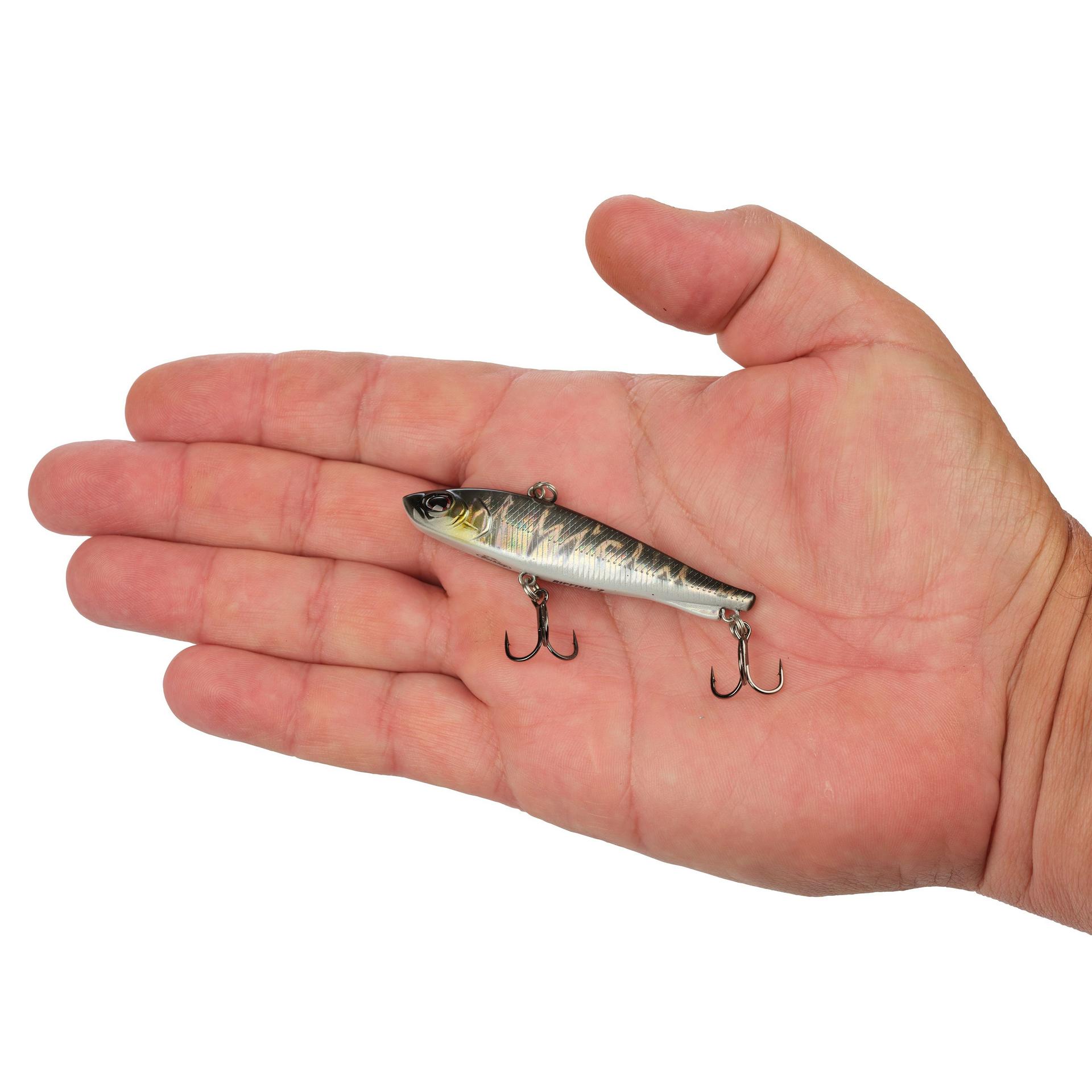 Berkley Ripfish