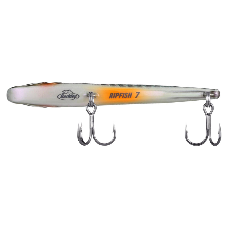 Berkley Ripfish