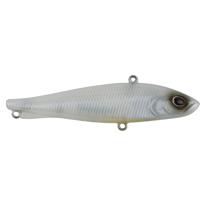 Berkley Ripfish