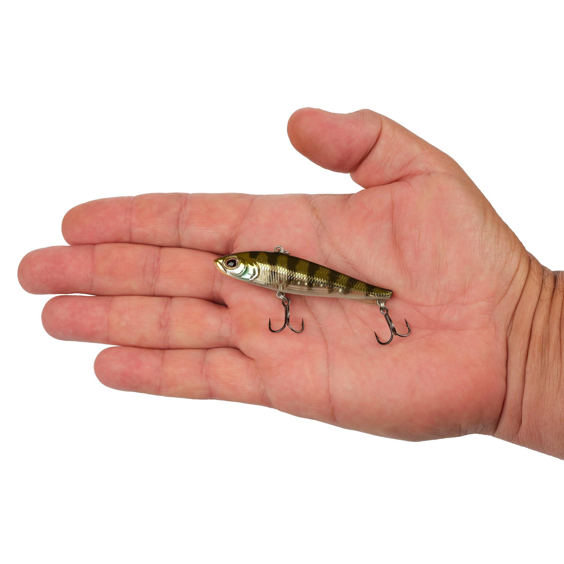 Berkley Ripfish