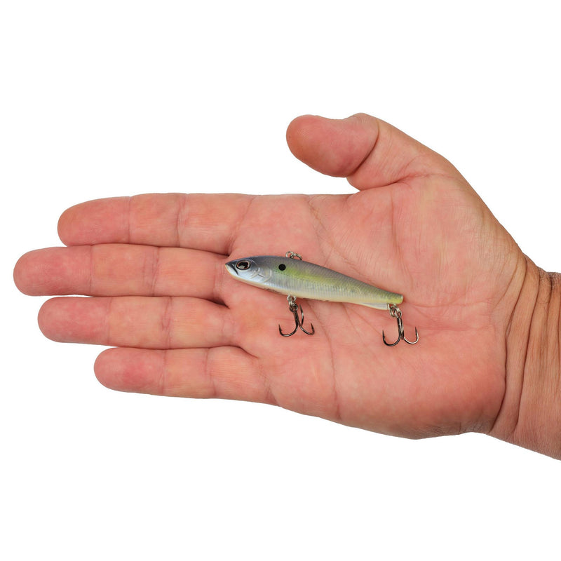 Berkley Ripfish