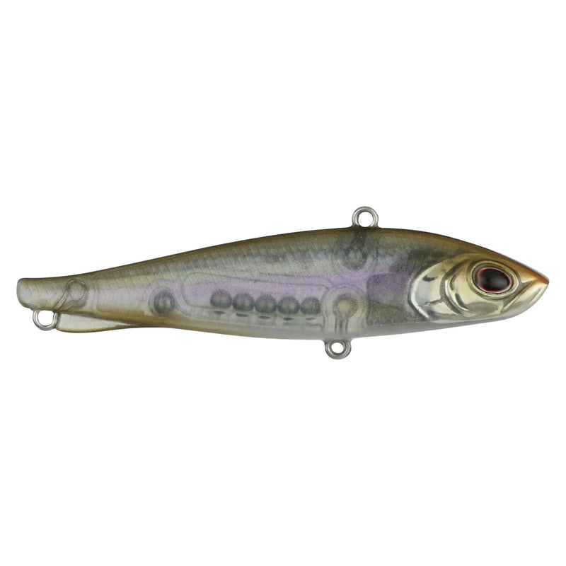 Berkley Ripfish