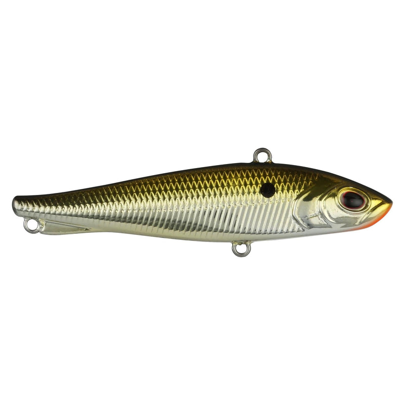 Berkley Ripfish