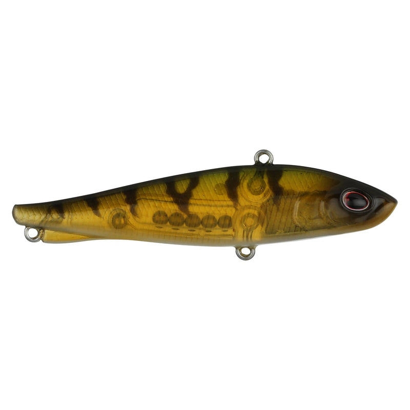 Berkley Ripfish