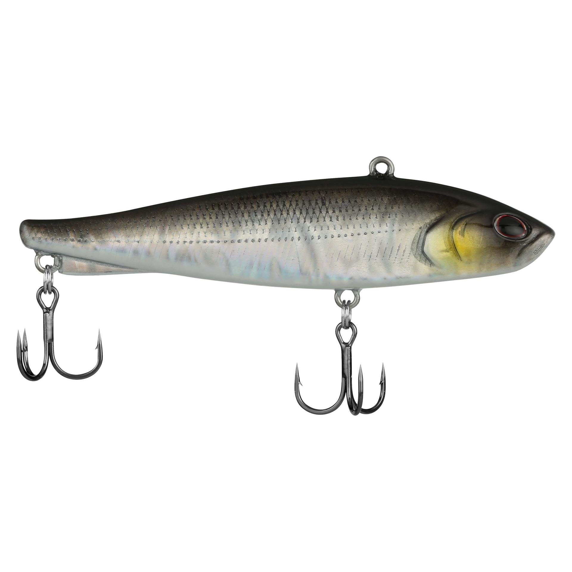 Berkley Ripfish