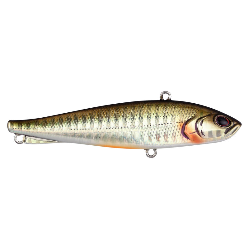 Berkley Ripfish