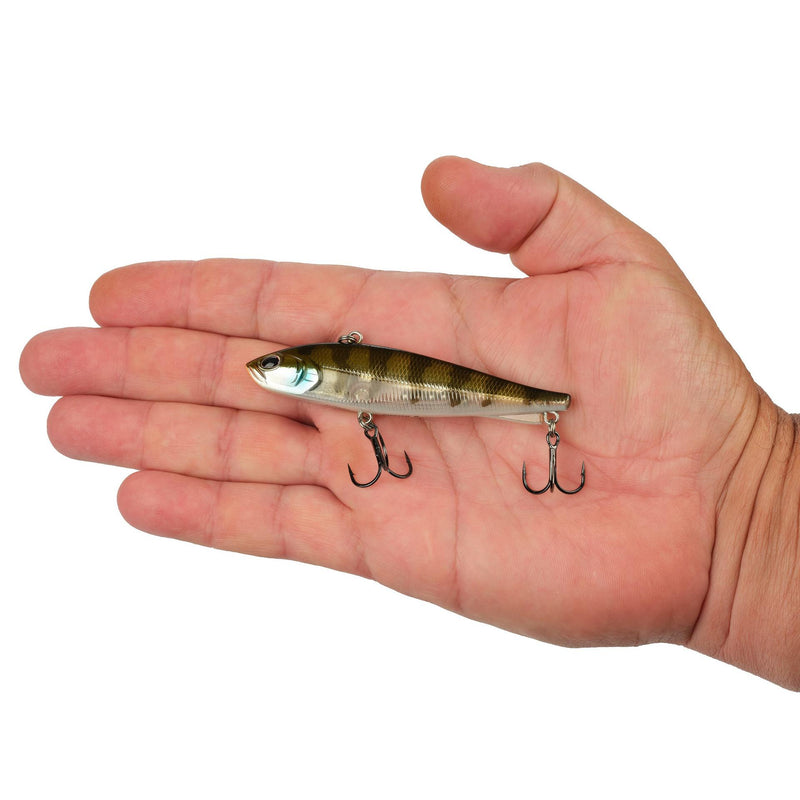 Berkley Ripfish