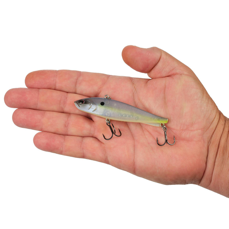 Berkley Ripfish