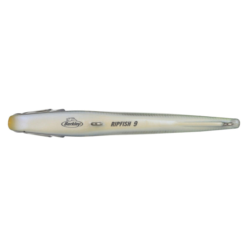 Berkley Ripfish