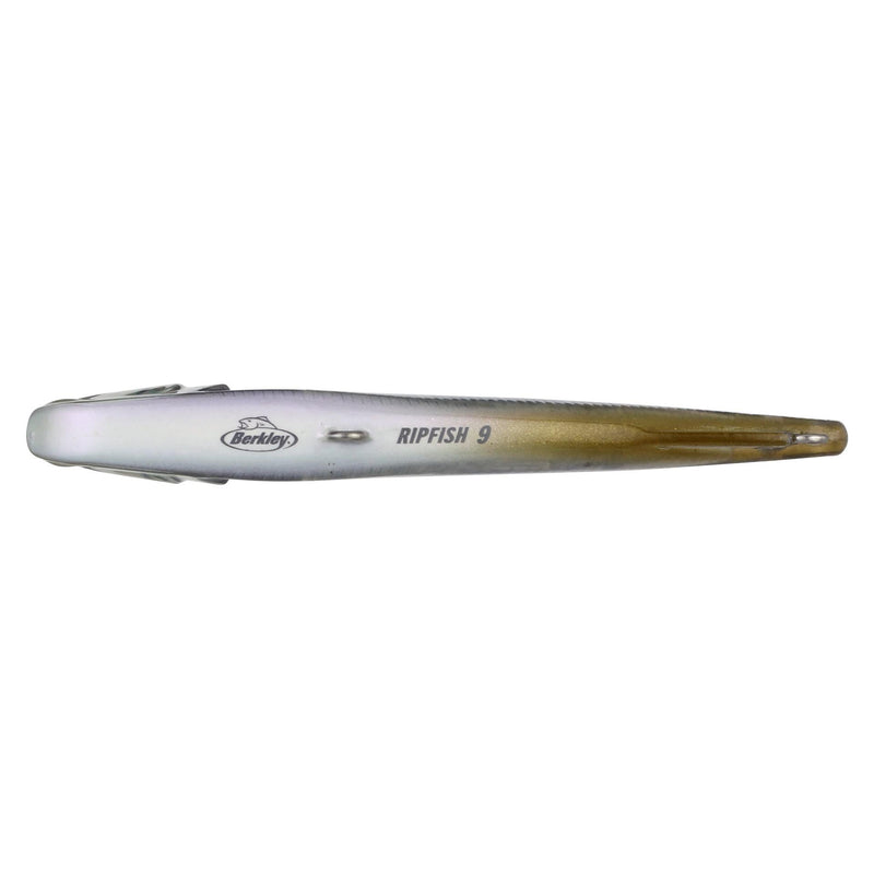 Berkley Ripfish