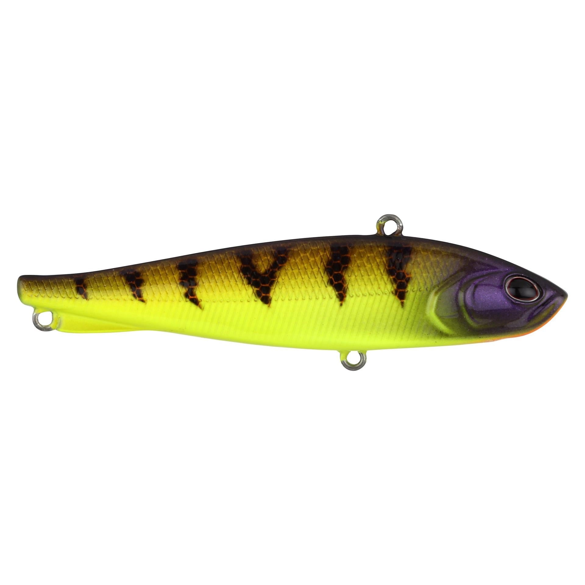 Berkley Ripfish