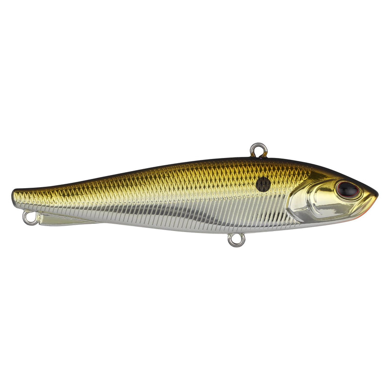 Berkley Ripfish