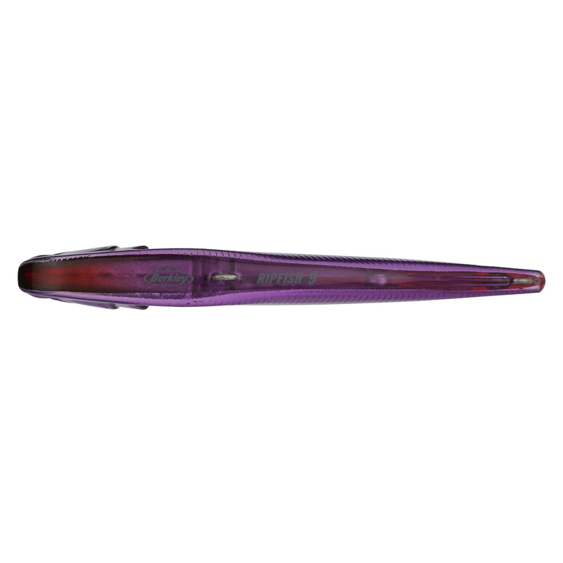 Berkley Ripfish