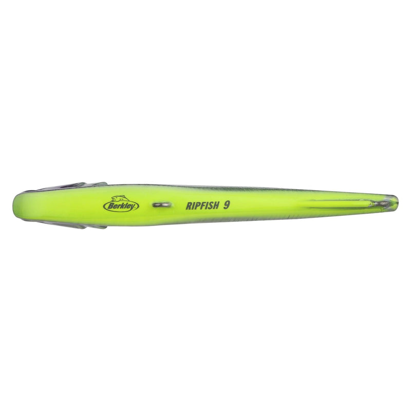 Berkley Ripfish