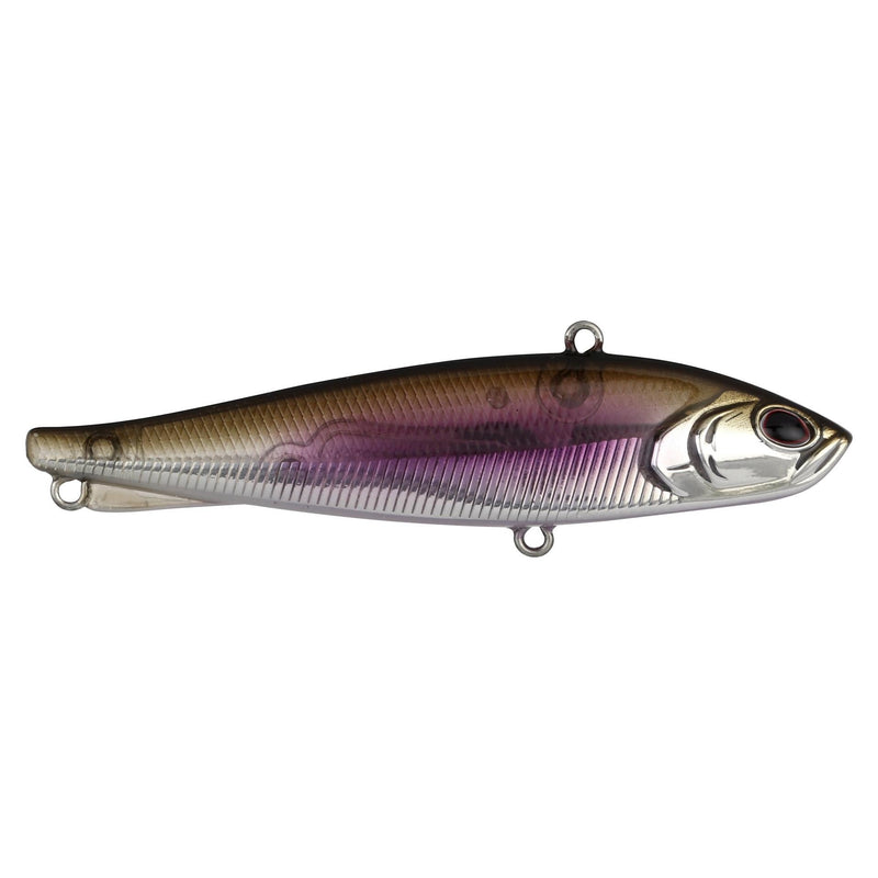Berkley Ripfish
