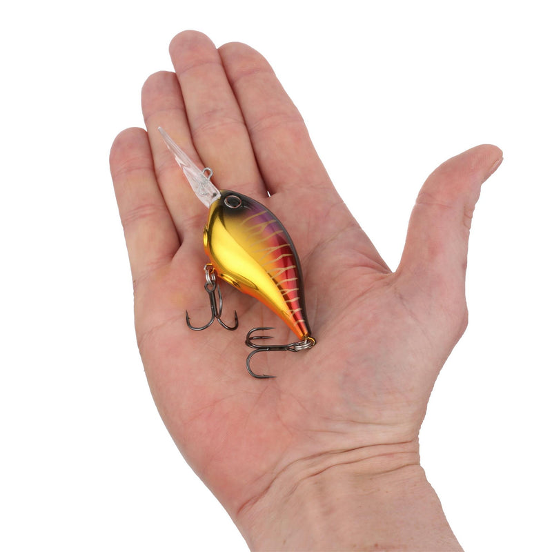 Berkley Dime
