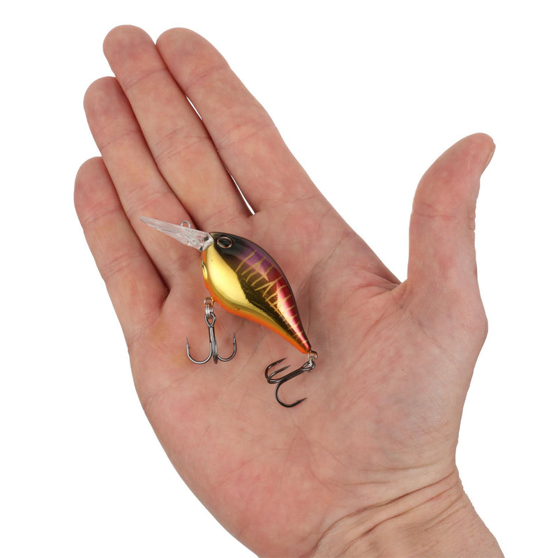 Berkley Dime