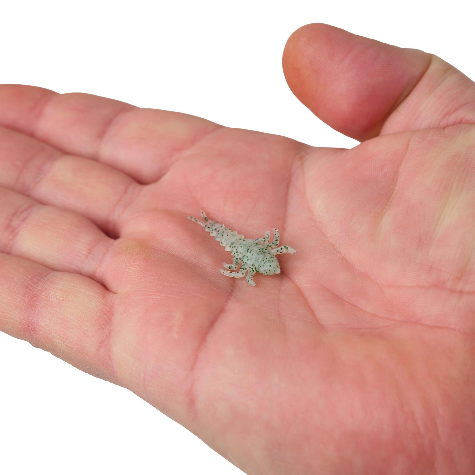 Glouton ! Vivant ! Plécoptère