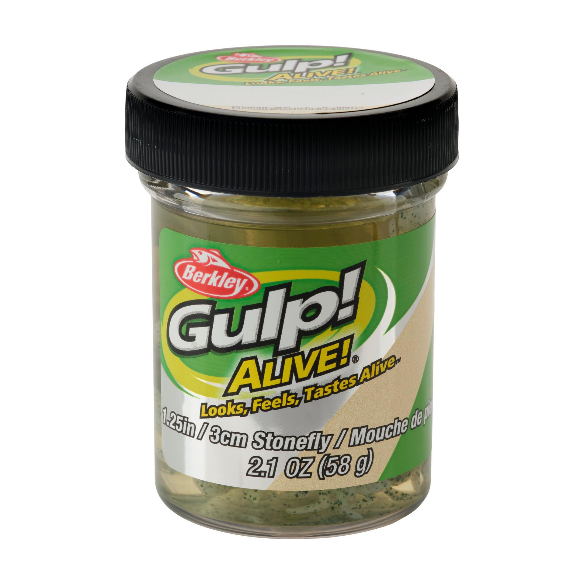 Glouton ! Vivant ! Plécoptère