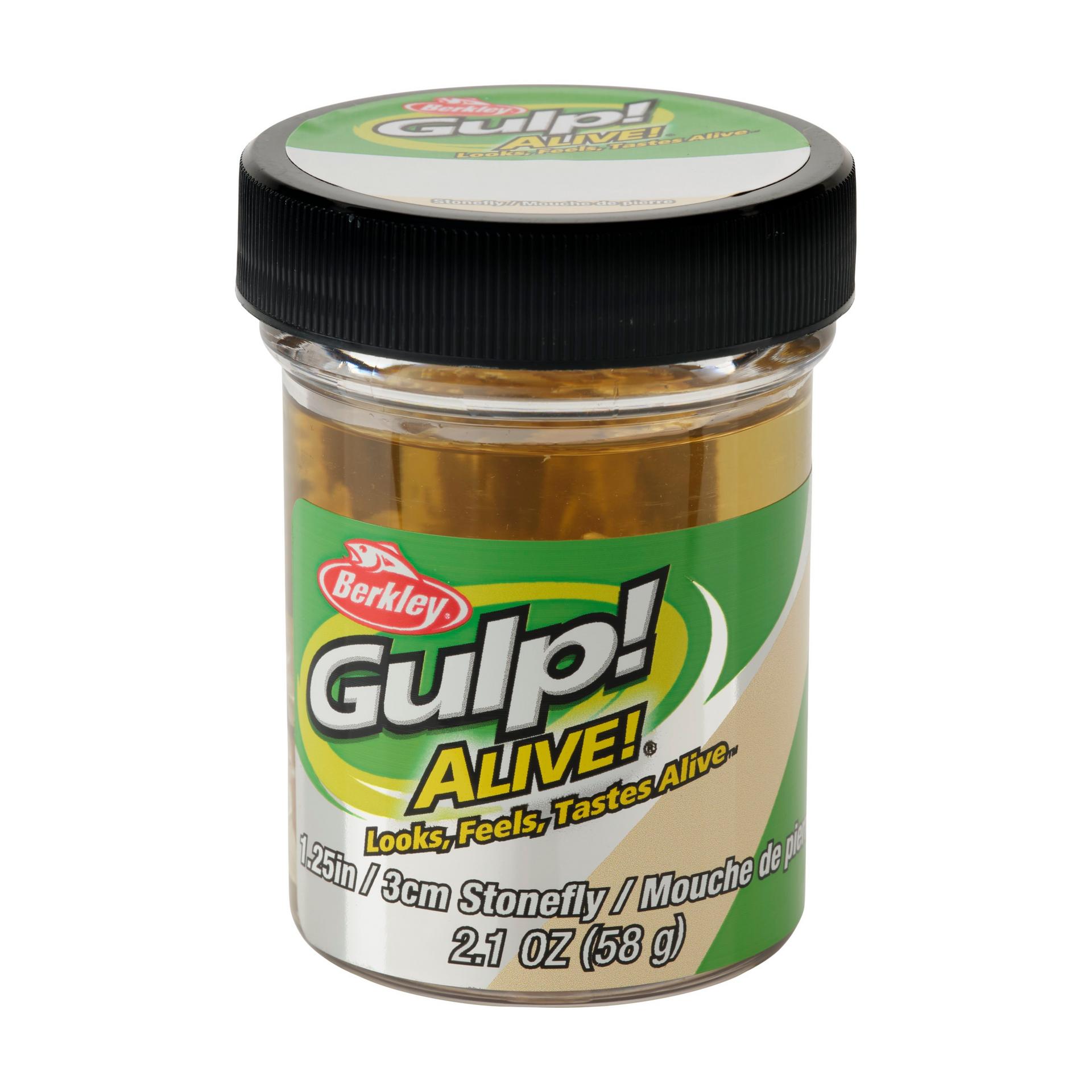 Glouton ! Vivant ! Plécoptère