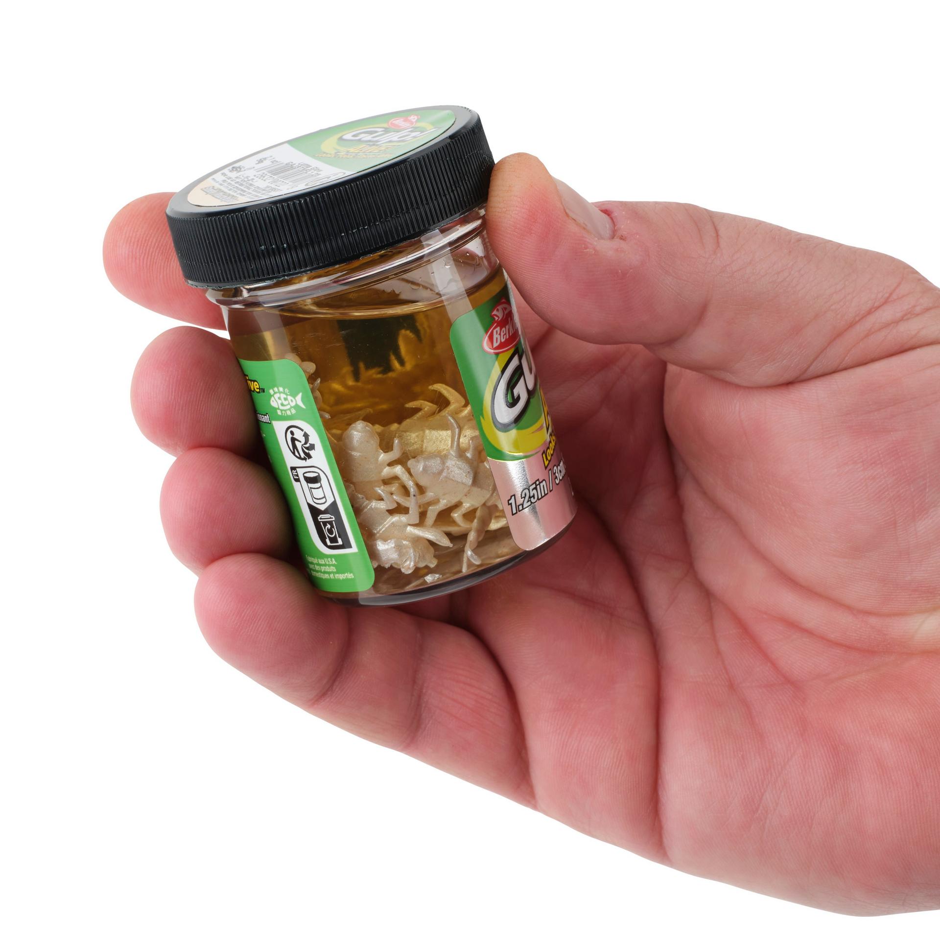 Glouton ! Vivant ! Plécoptère