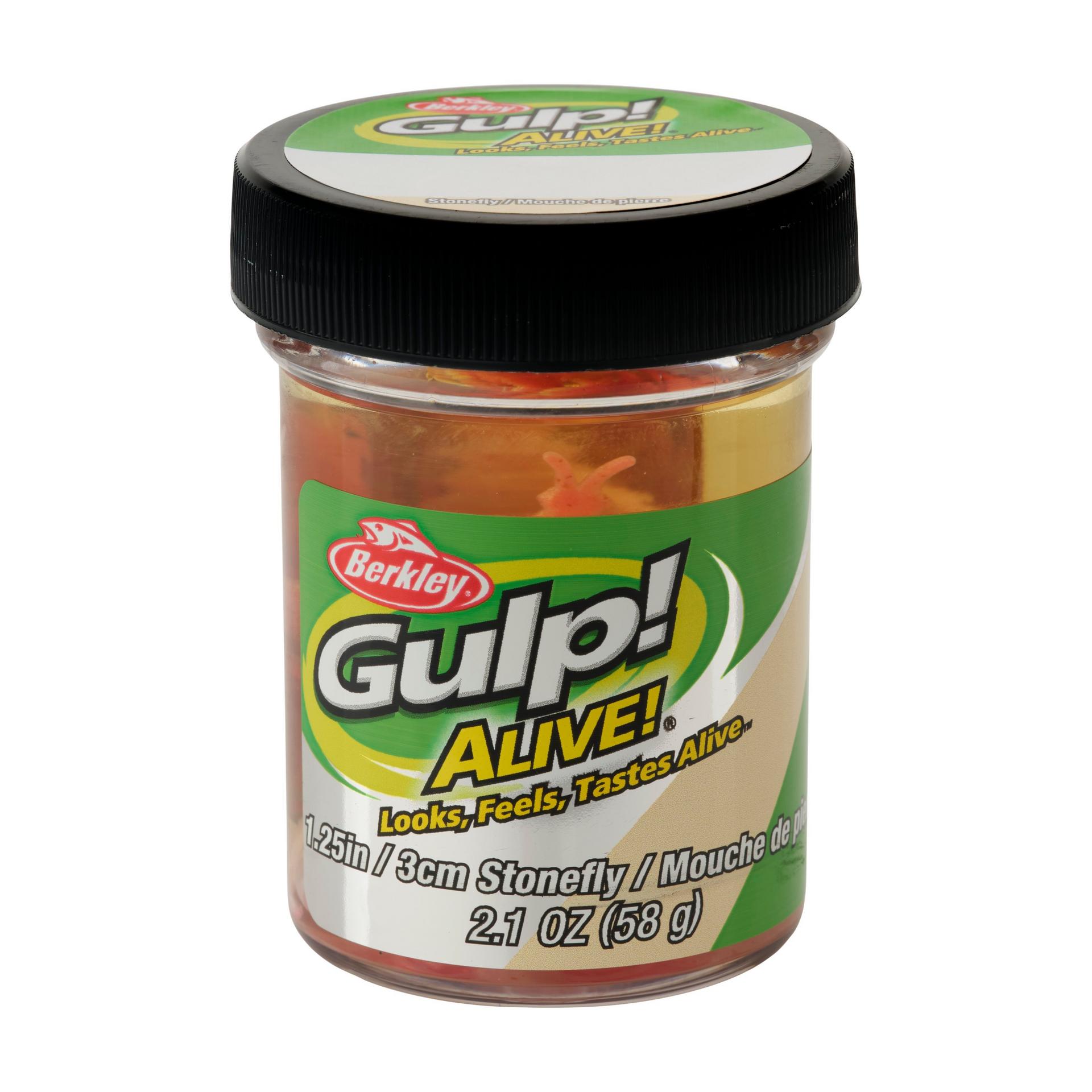 Glouton ! Vivant ! Plécoptère