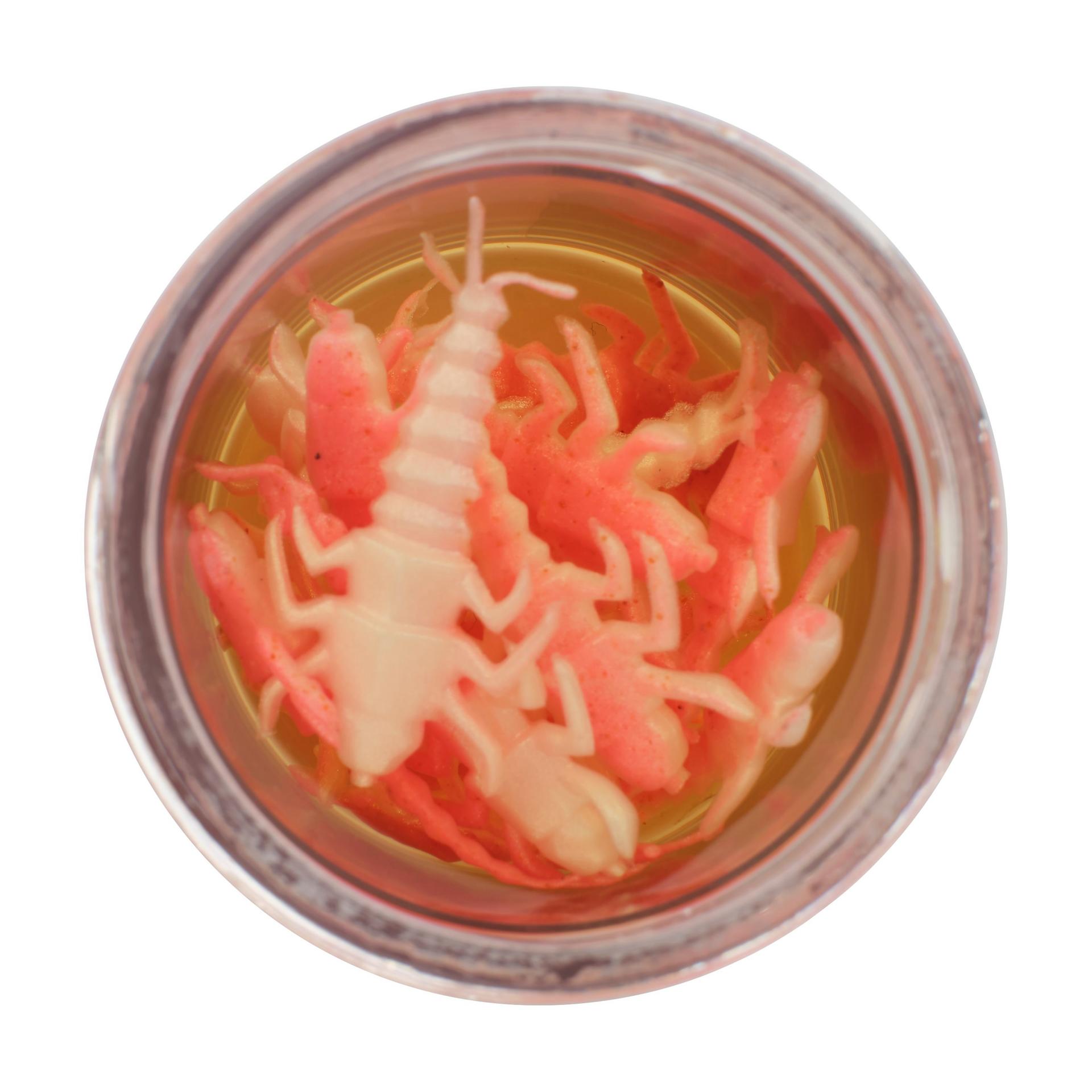 Glouton ! Vivant ! Plécoptère