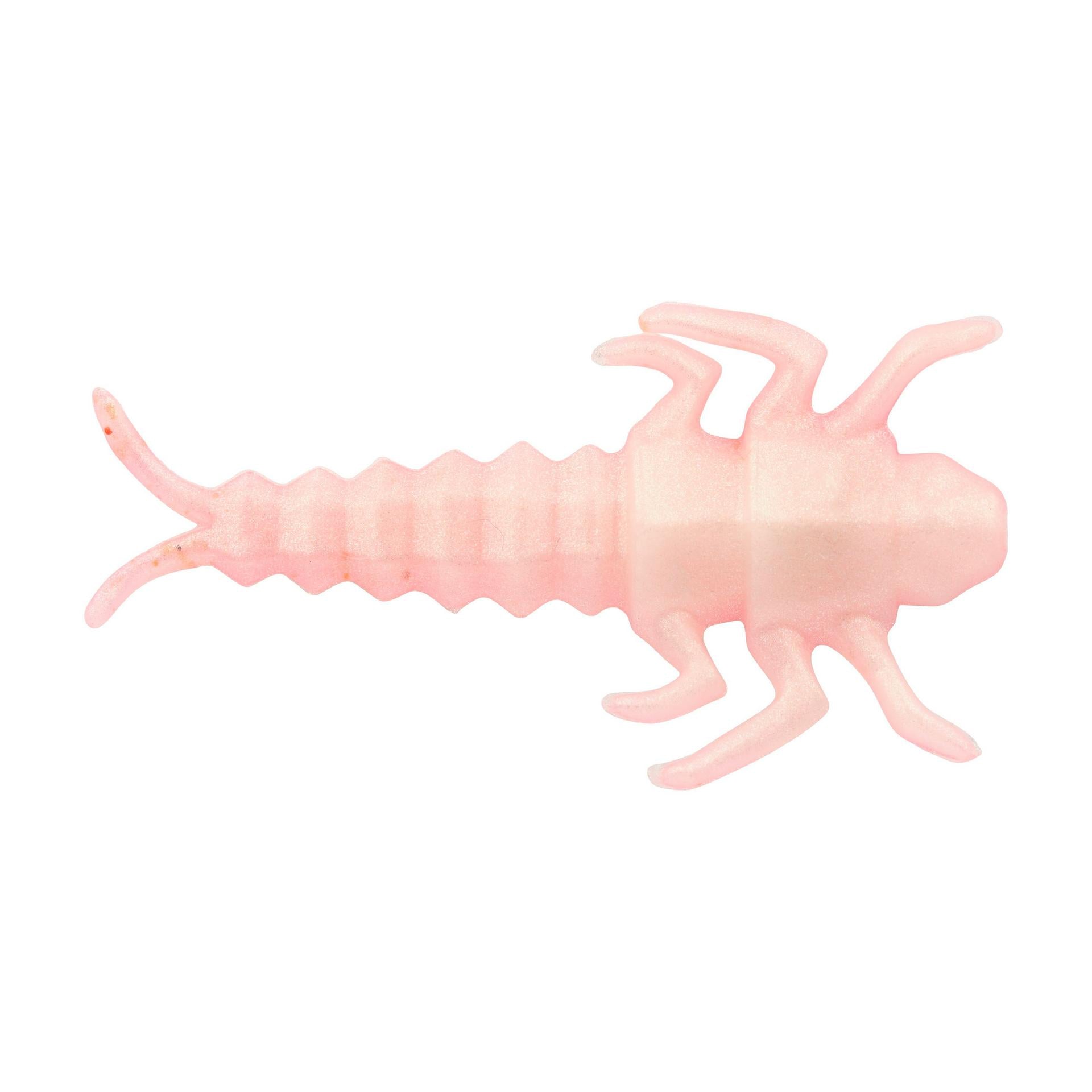 Glouton ! Vivant ! Plécoptère