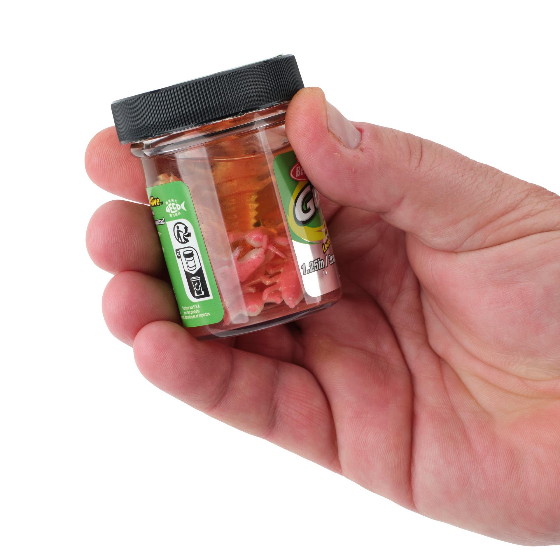 Glouton ! Vivant ! Plécoptère