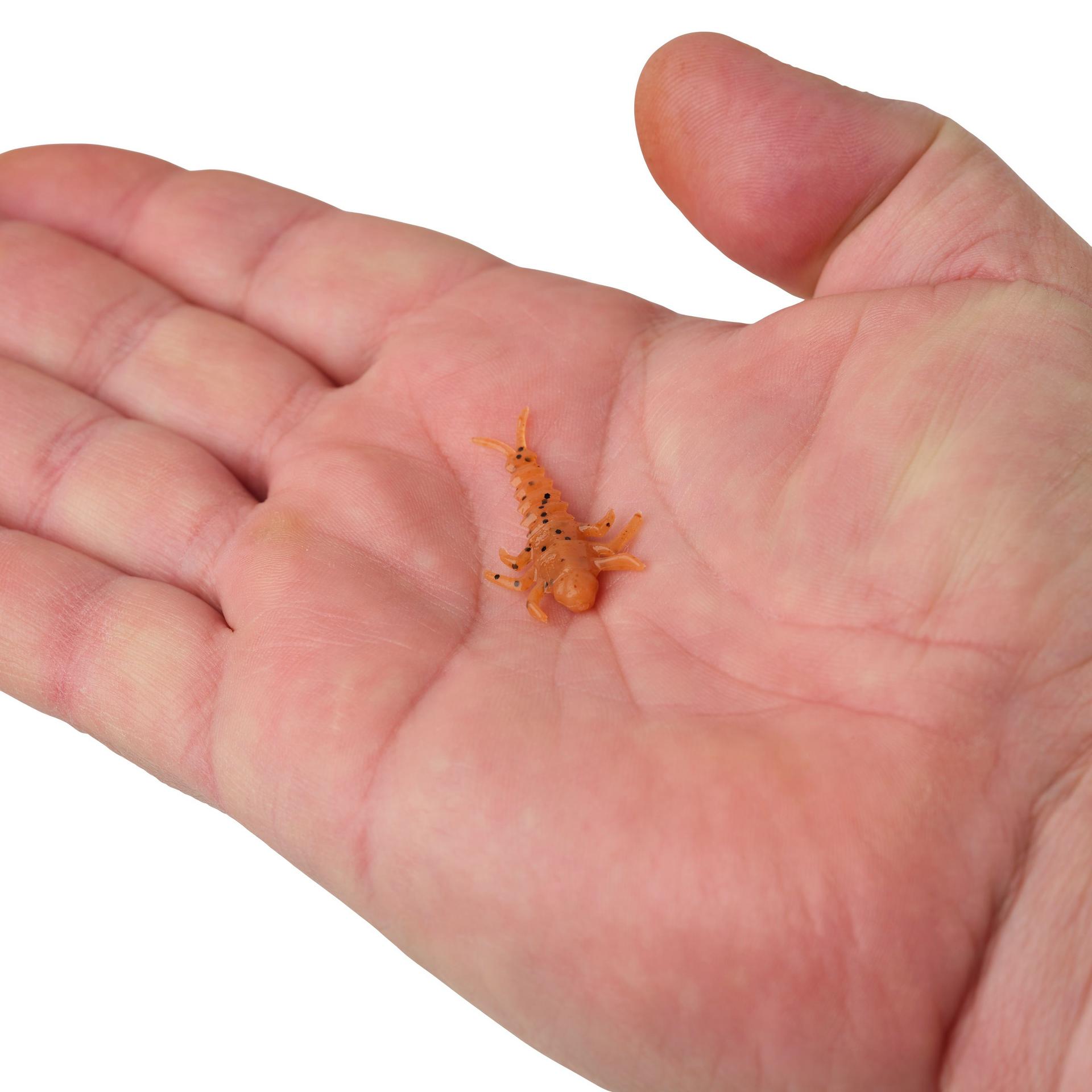 Glouton ! Vivant ! Plécoptère