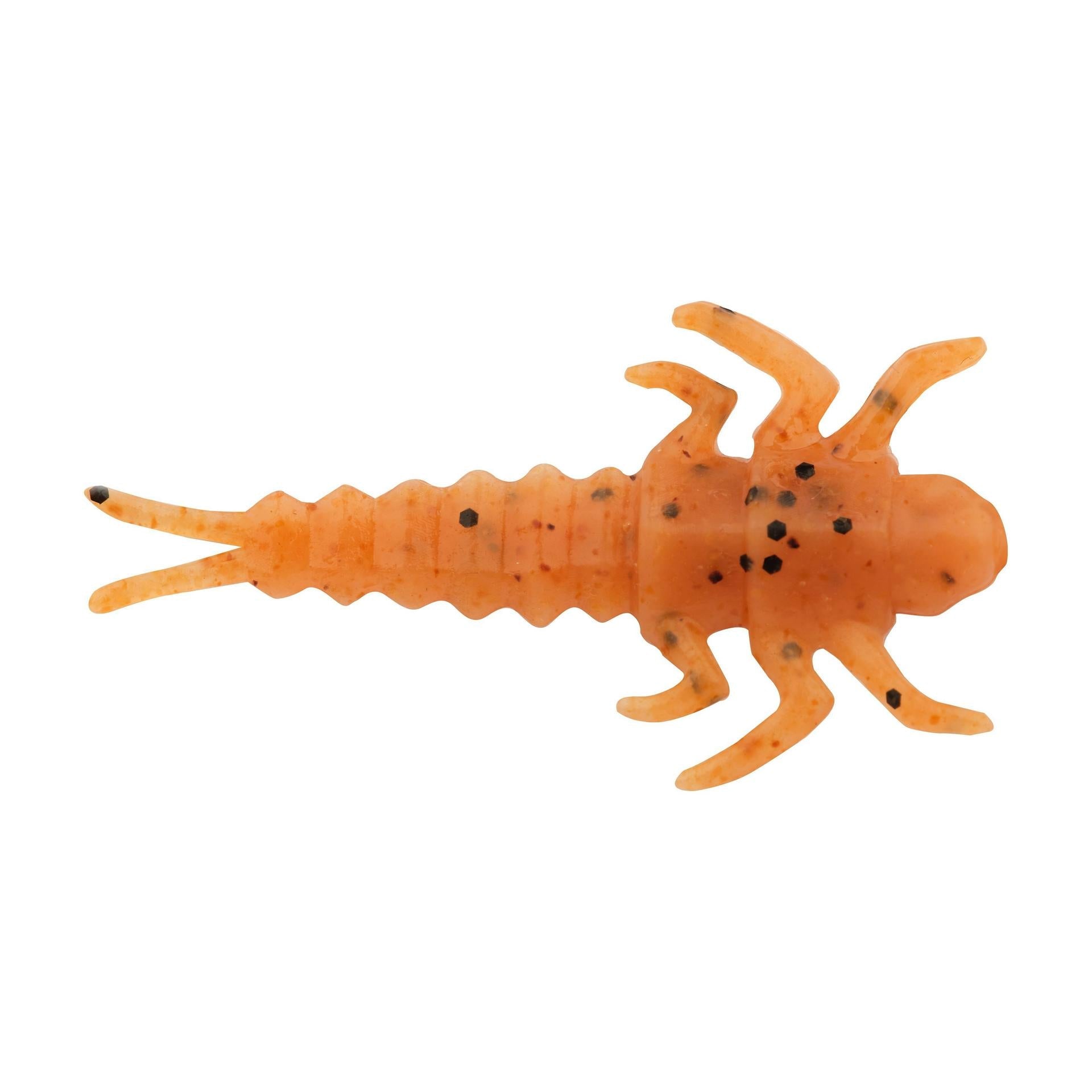 Glouton ! Vivant ! Plécoptère