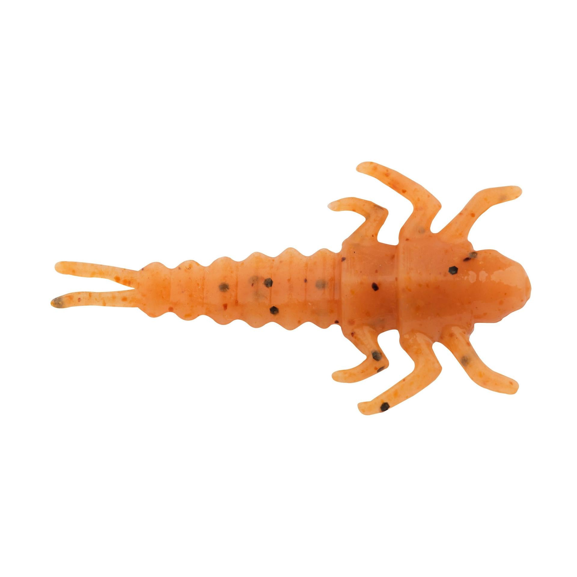 Glouton ! Vivant ! Plécoptère