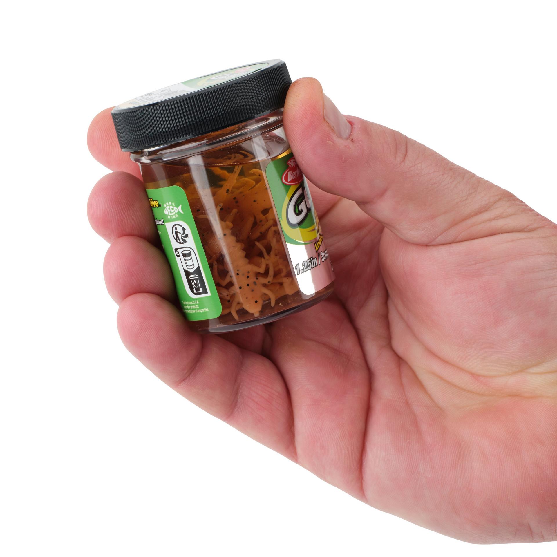 Glouton ! Vivant ! Plécoptère