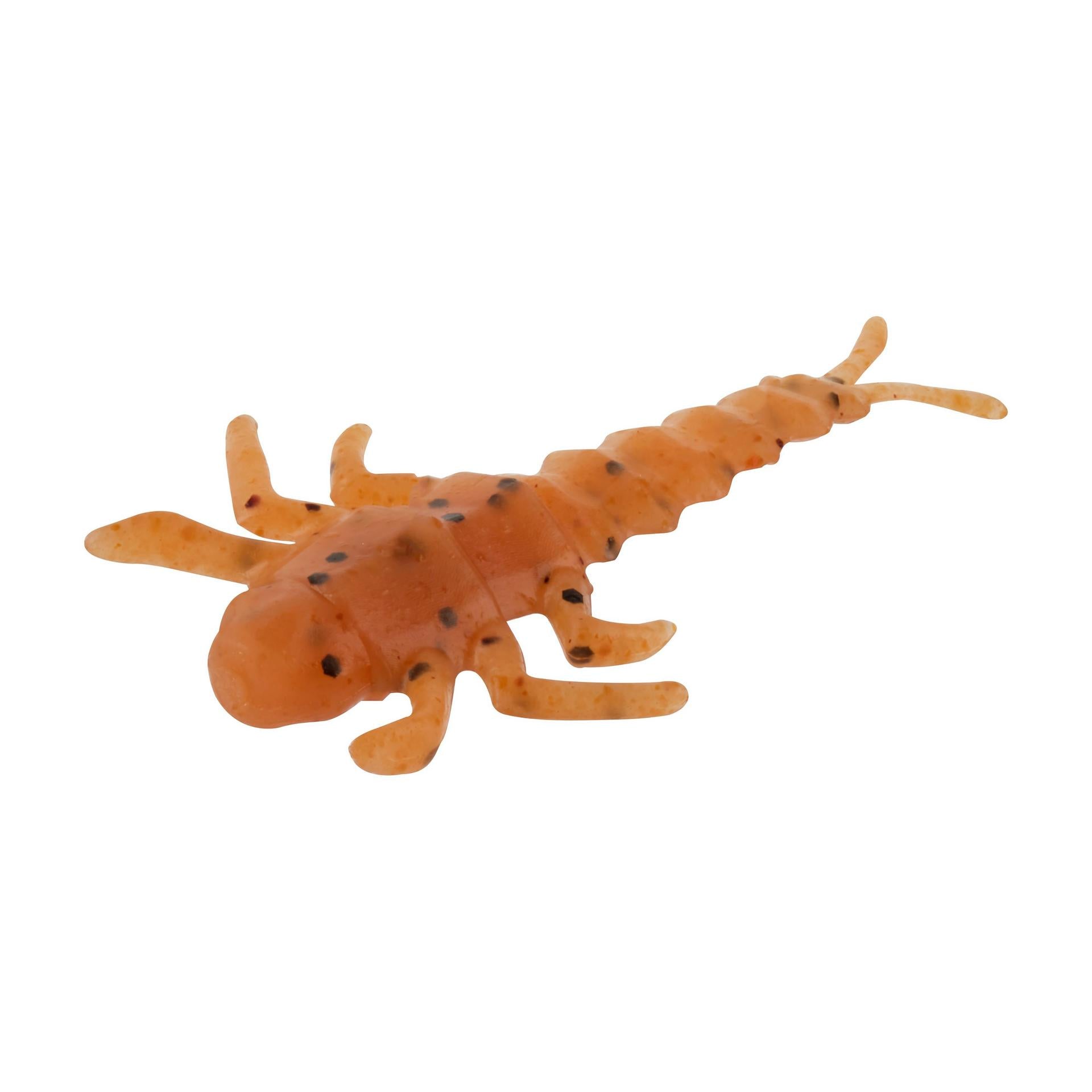 Glouton ! Vivant ! Plécoptère