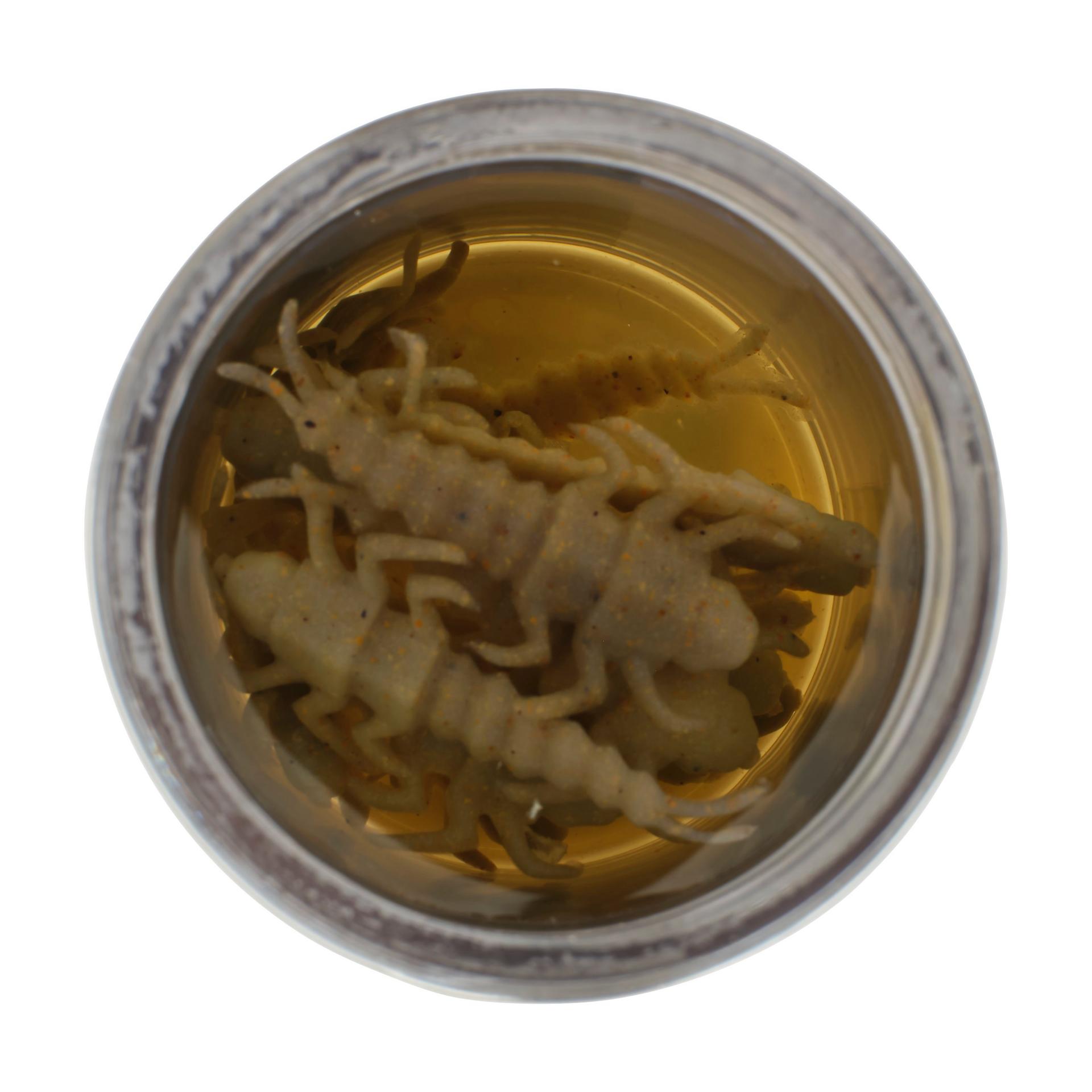 Glouton ! Vivant ! Plécoptère