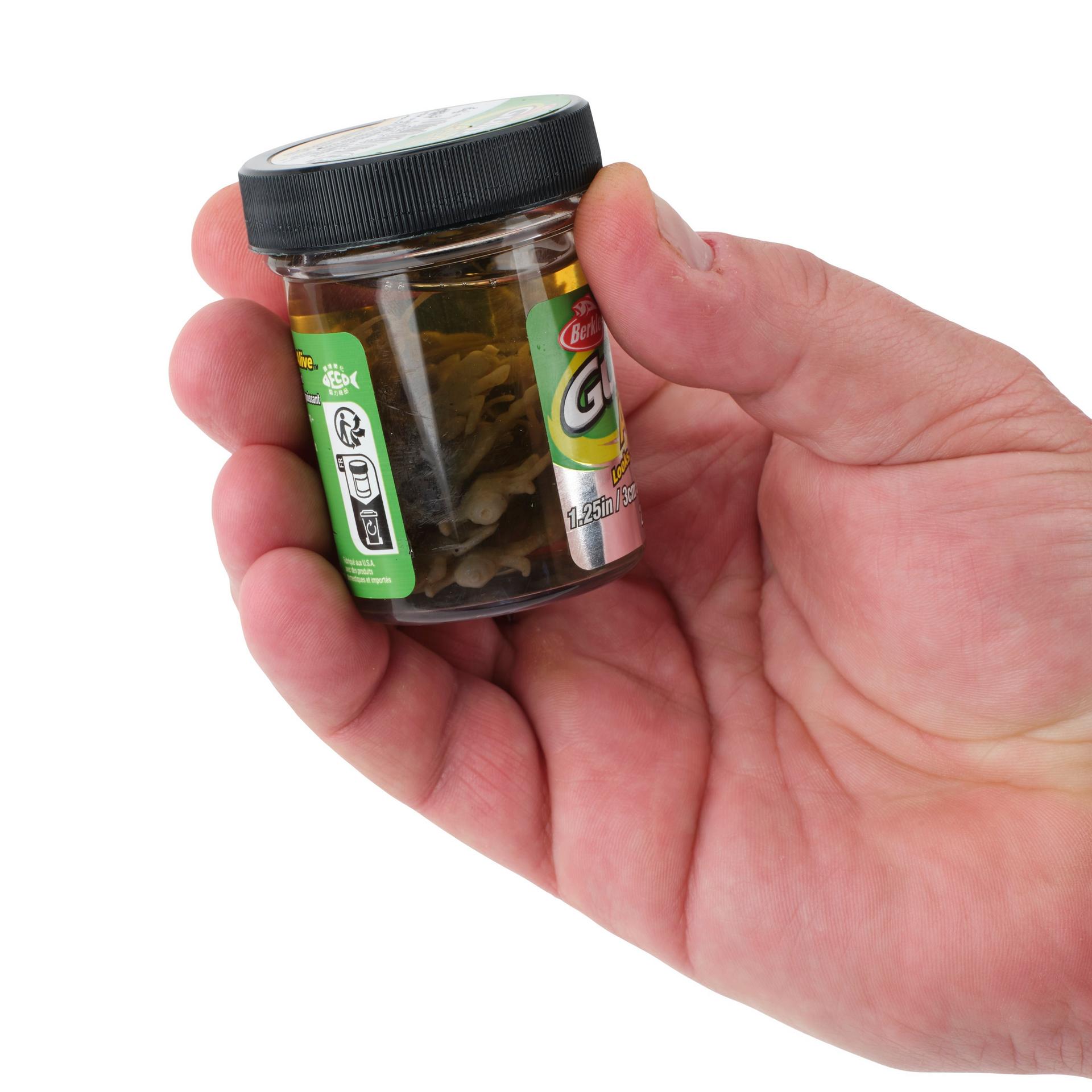 Glouton ! Vivant ! Plécoptère